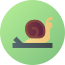 caracol icon