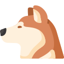 akita inu