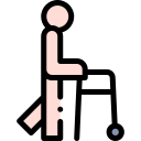 caminante icon