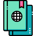 pasaporte icon