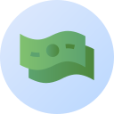 dinero icon