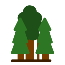 bosque icon