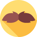 bigote icon