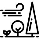 나무 