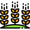 campo icon