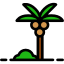 palmera icon