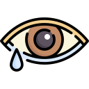 ojo icon