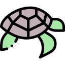 tortuga icon