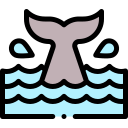 ballena icon