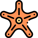 estrella de mar icon