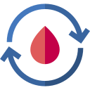 ciclo menstrual