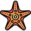 estrella de mar icon