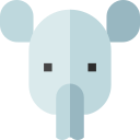 tapir