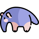 tapir