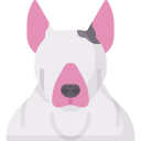 bull terrier