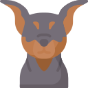 pinscher icon