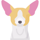 chihuahua icon