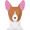 basenji 