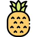 piña icon