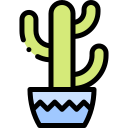 cactus icon