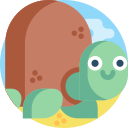 tortuga icon