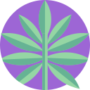 hoja icon