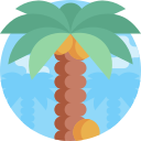 palmera icon