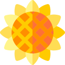 girasol icon