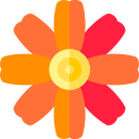 aster mexicano icon