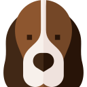 basset hound icon