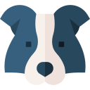 border collie icon