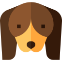 perro tejonero icon