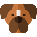 boxer icon