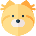 pomeranio icon