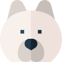 samoyedo icon