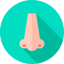 nase icon