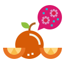 naranja icon