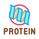 proteína 