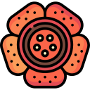 rafflesia icon