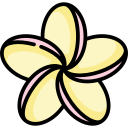 plumeria icon