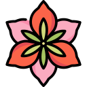 amarilis icon