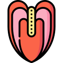 anthurium icon