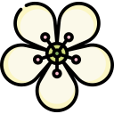 hibisco icon