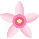 flor de tapioca icon