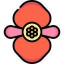 begonia icon