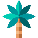 palmera icon