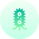 las bacterias icon