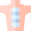 columna vertebral icon