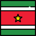 surinam icon