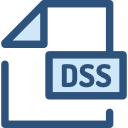 dss icon